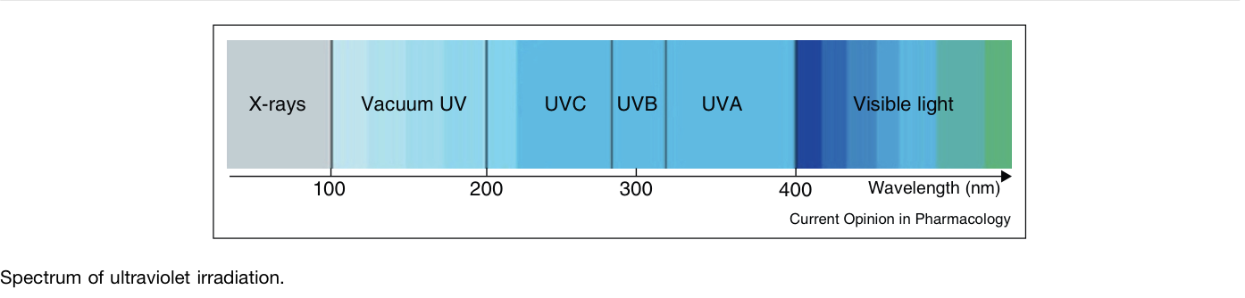 Germicidal Ultraviolet Radiation Spectrum for SARS-CoV-2